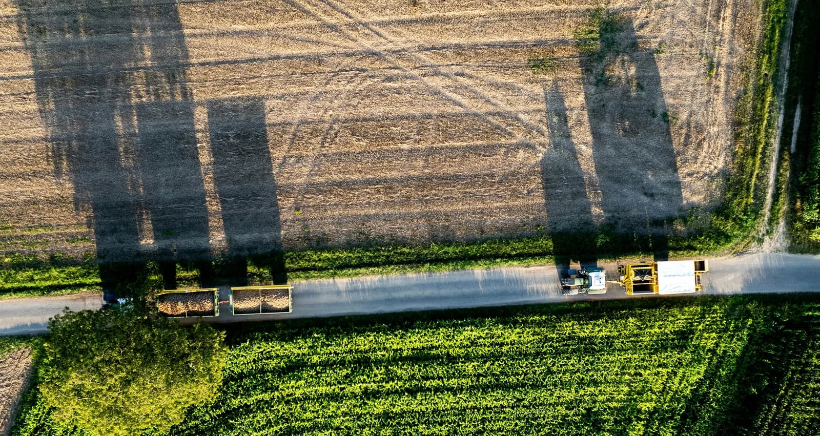 Pourquoi voir la Terre d'en haut changerait l'humanité (L'Effet de Surplomb)